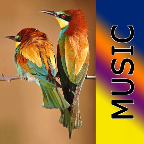 INSTUMENTAL MUSIC cover art
