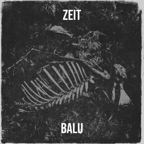 Zeit cover art