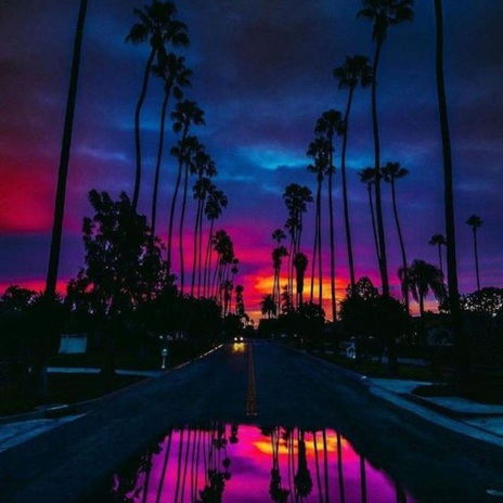 Dreamy Nights