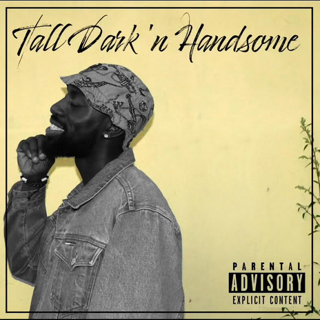 Tall Dark n’ handsome cover art