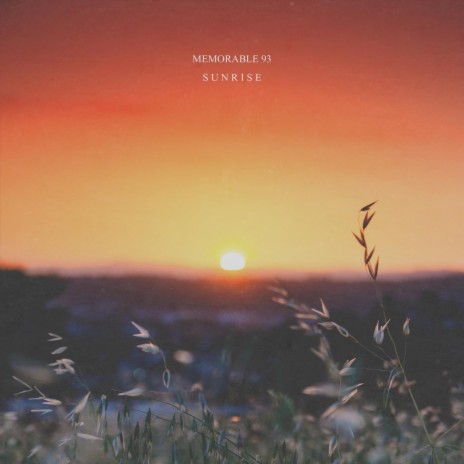 Darkness cover art