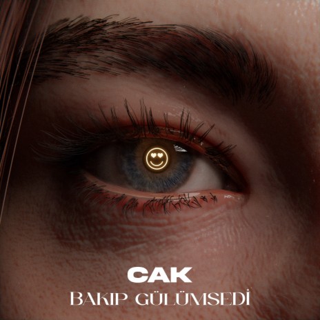 Bakıp Gülümsedi cover art