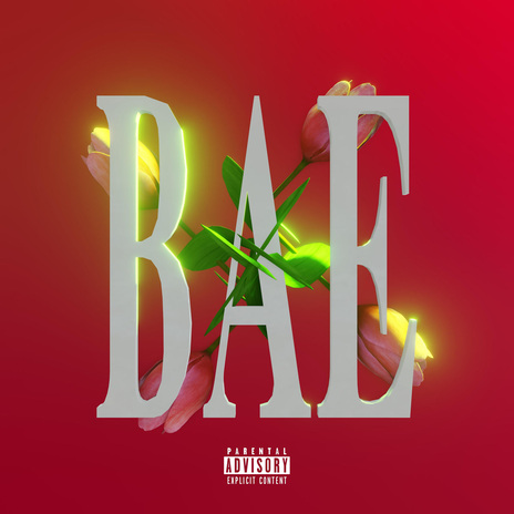 Bae cover art