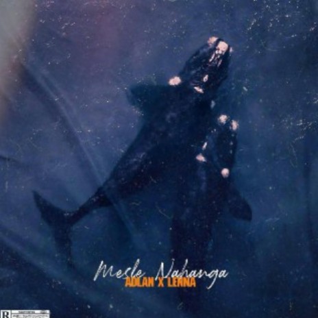 Mesle nahanga ft. XuXu Injast & exomur cover art