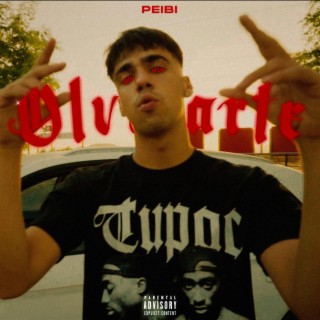 Peibi