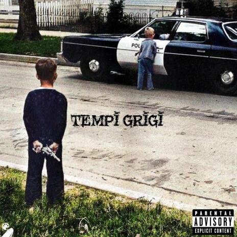 TEMPI GRIGI cover art