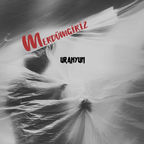 Merdümgiriz cover art