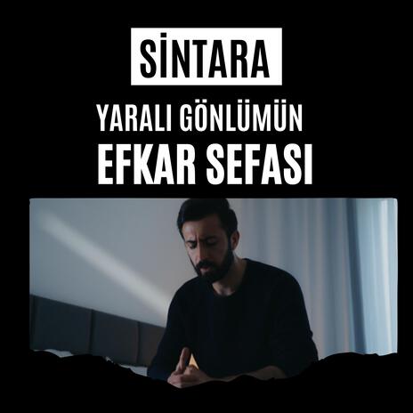 Yaralı Gönlümün Efkar Sefası cover art