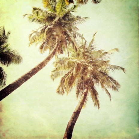 Turis cover art
