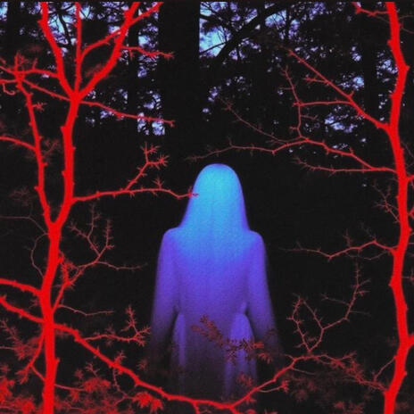 WoahWoahWoah! ft. prod.ssjchrome cover art