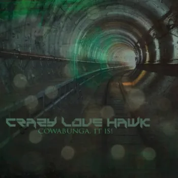 Cowabunga, It Is! cover art
