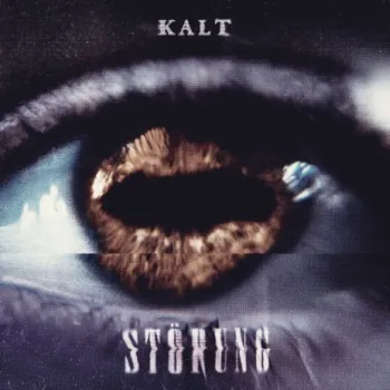 Störung cover art