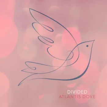 Divided cover art