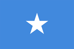 live-team-icon