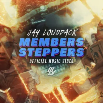 MEMBERS & STEPPERS cover art