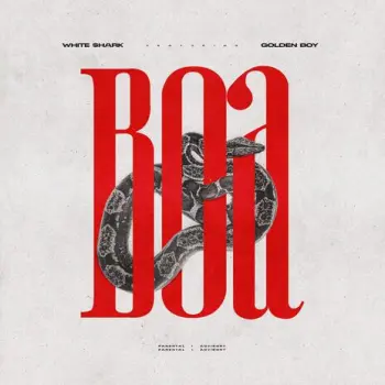 Boa ft. GoldenBoy cover art