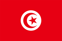 live-team-icon