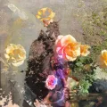 Azalea