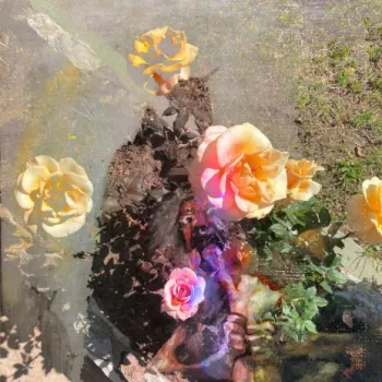 Azalea cover art
