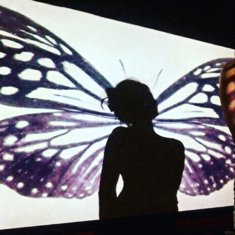 Butterfly cover art
