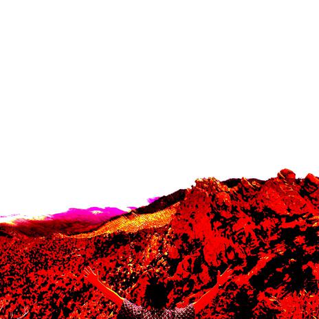 Phone Wife cover art