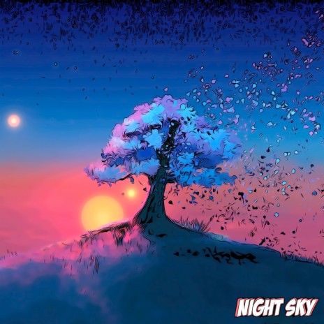 Night Sky cover art