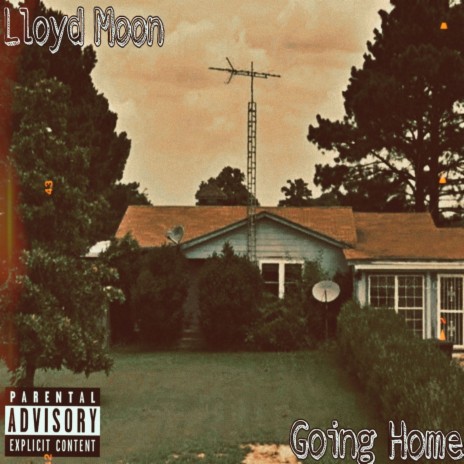 Alice Ray cover art