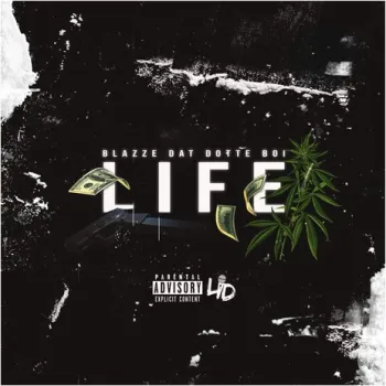 Life cover art