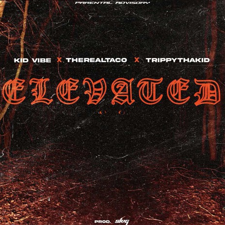 Elevated ft. Kid Vibe, TrippyThaKid & SLVG
