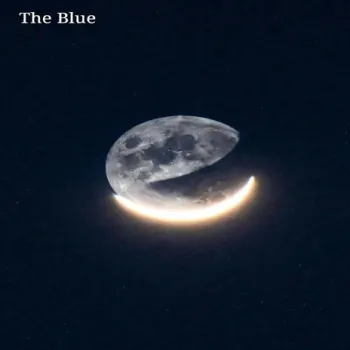 Am I the Problem cover art