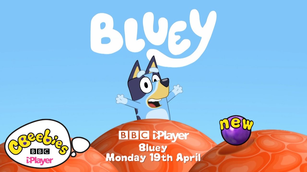 Bluey on CBeebies