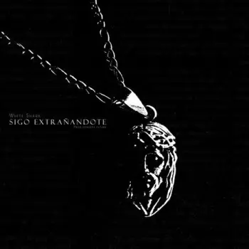 SIGO EXTRAÑANDOTE cover art