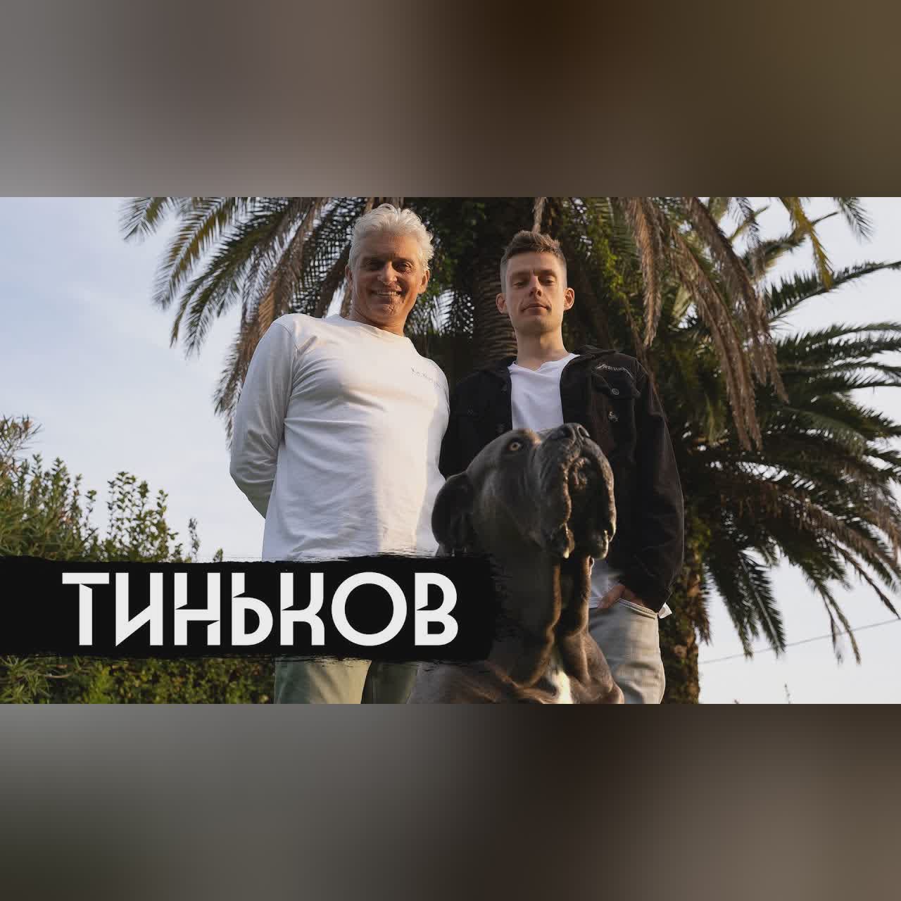 Тиньков – болезнь и война / вДудь cover art