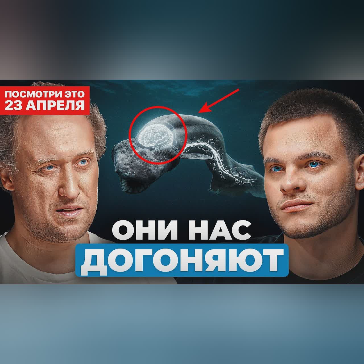 Мы НЕ ОДНИ разумные в этом МИРЕ? Эти животные догоняют НАС! Биолог МГУ - Михаил Никитин cover art