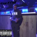 Gsg X FnB