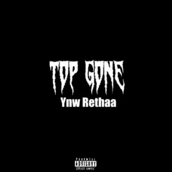 Top Gone cover art