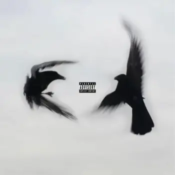haCiendOloasi ft. Twoface cover art