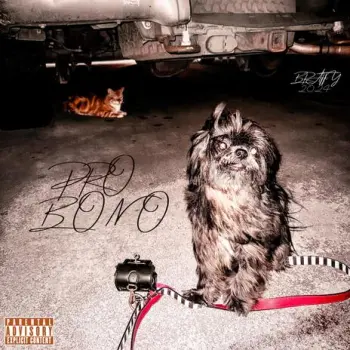 PRO BONO cover art