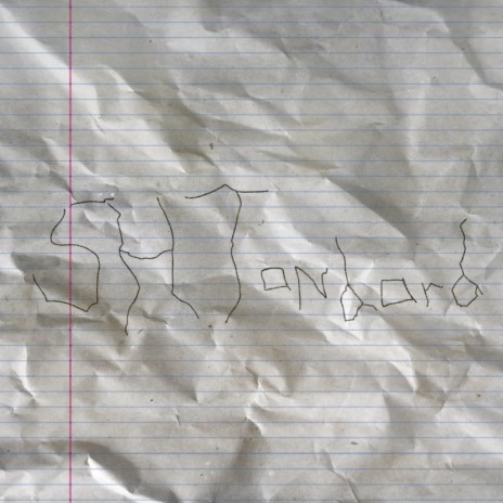 SHTandard cover art