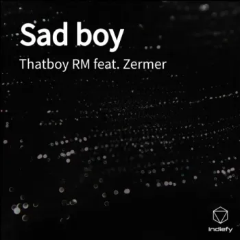 Sad boy ft. Zermer cover art