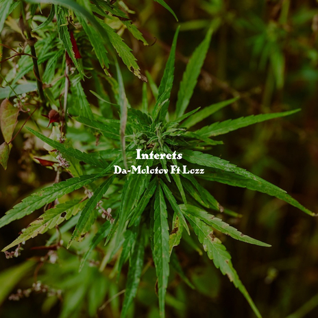 Interets ft. Lozz cover art