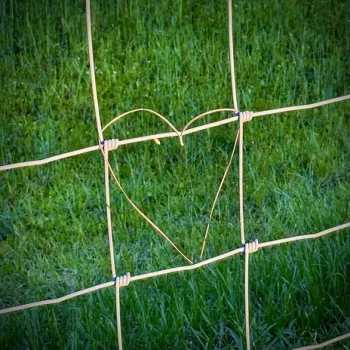 Love Takes Patience cover art
