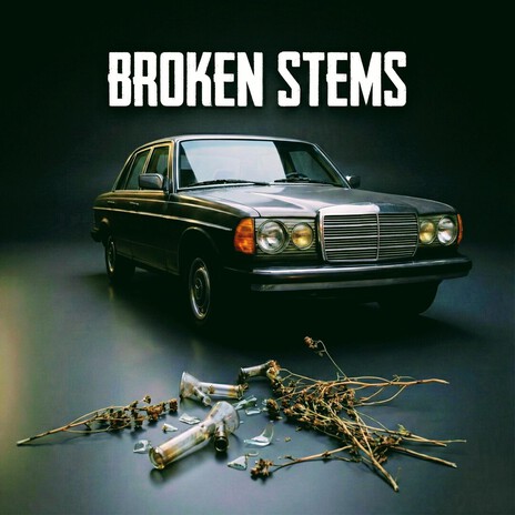 Broken Stems (Radio Edit) ft. HypnoGypsy420 cover art