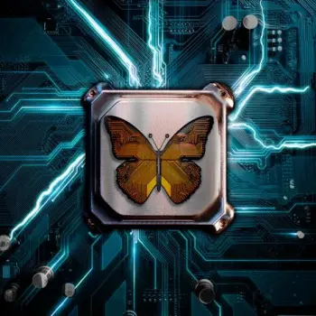 Intellect cover art