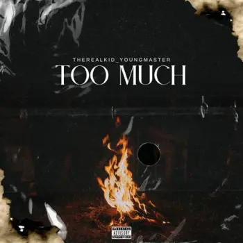 Too Much cover art