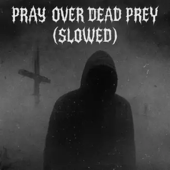 Pray Over Dead Prey (SLOWED RMX) cover art