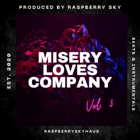 Misery Loves Company (Instrumental) cover art
