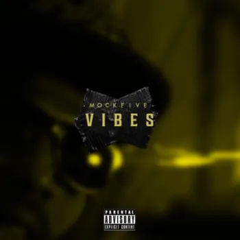 Vibes cover art