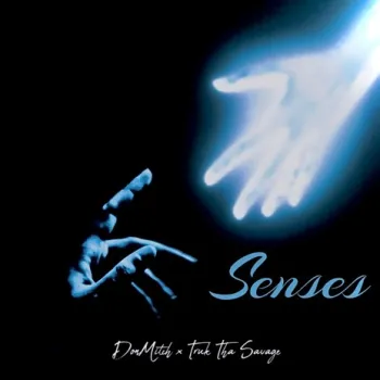 Senses ft. Turk Tha Savage cover art