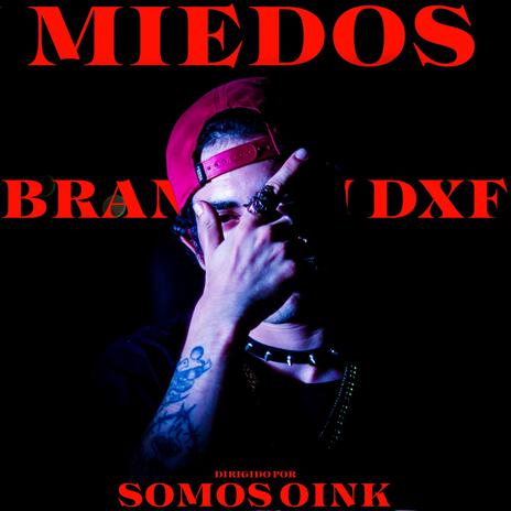 MIEDOS ft. SOMOS OINK cover art